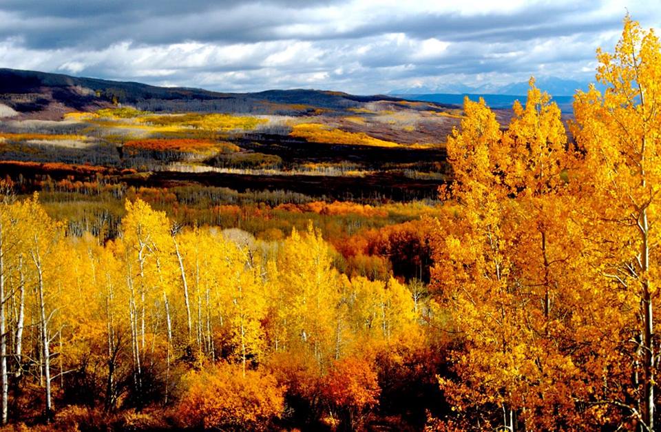 GRAND MESA & COLORADO SCENIC BYWAY Quality Inn Grand Junction