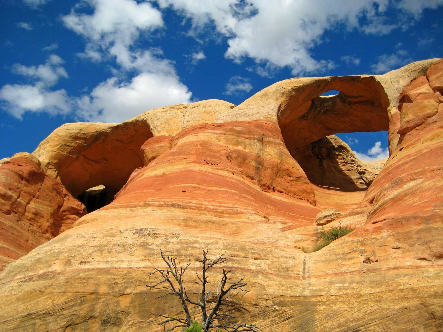 MCINNIS CANYONS NATIONAL CONSERVATION AREA